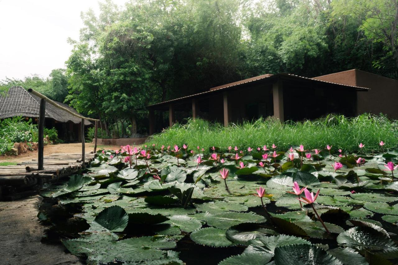 Hampi'S Whiskers Resort Dış mekan fotoğraf